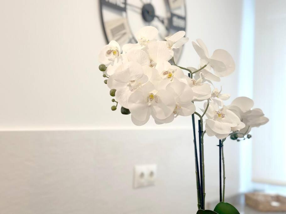 Apartamento Reformado En Santoña 外观 照片